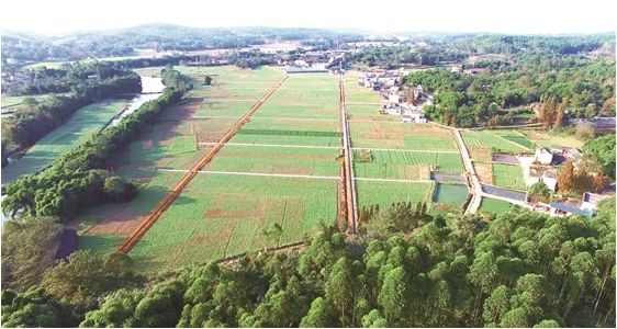 ����2017����ũ�ʽ�����ĸ�ʵ�Ե�ֽ��������������Ŀ